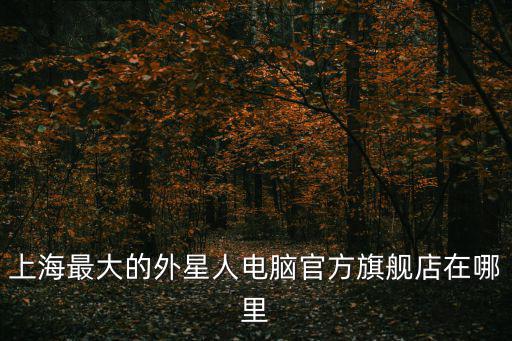 上海最大的外星人電腦官方旗艦店在哪里