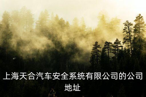 上海天合汽車安全系統有限公司的公司地址
