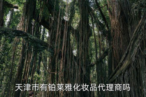 天津市有鉑萊雅化妝品代理商嗎