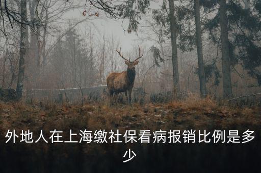 外地人在上海繳社保看病報銷比例是多少