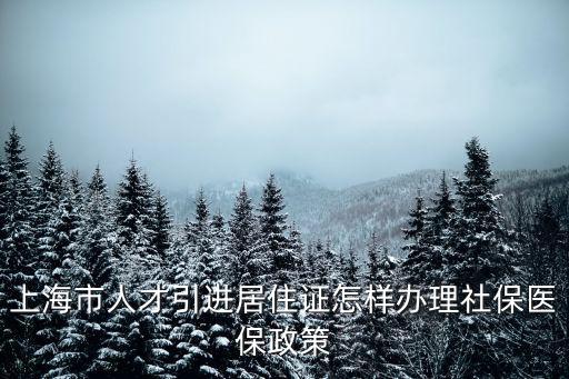 上海市人才引進(jìn)居住證怎樣辦理社保醫(yī)保政策