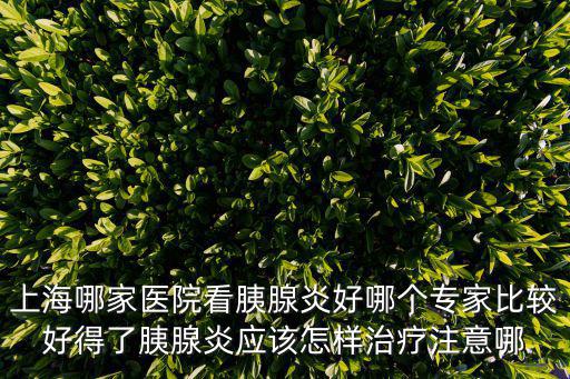 上海哪家醫院看胰腺炎好哪個專家比較好得了胰腺炎應該怎樣治療注意哪