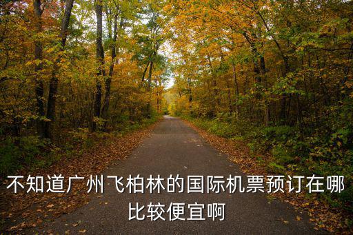 不知道廣州飛柏林的國際機票預訂在哪比較便宜啊