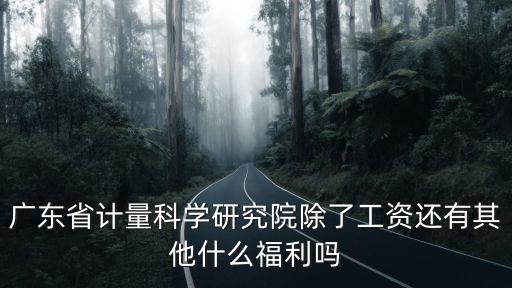 廣東省計量科學(xué)研究院除了工資還有其他什么福利嗎