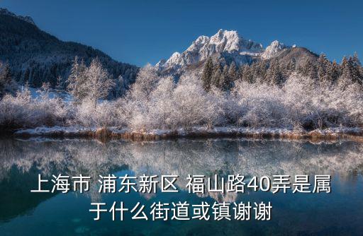 上海市 浦東新區 福山路40弄是屬于什么街道或鎮謝謝