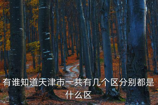 有誰知道天津市一共有幾個區(qū)分別都是什么區(qū)