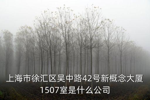 上海市徐匯區吳中路42號新概念大廈1507室是什么公司