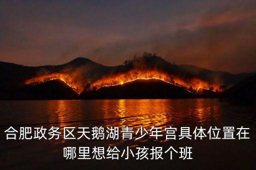 合肥政務區天鵝湖青少年宮具體位置在哪里想給小孩報個班