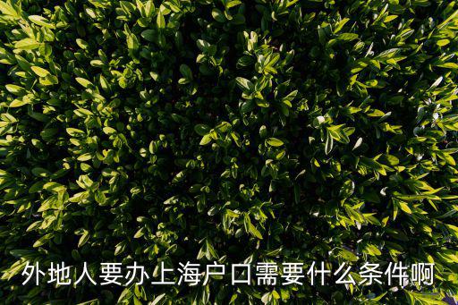 外地人要辦上海戶口需要什么條件啊