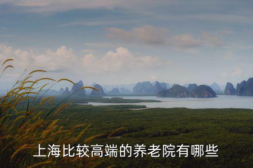 上海比較高端的養老院有哪些