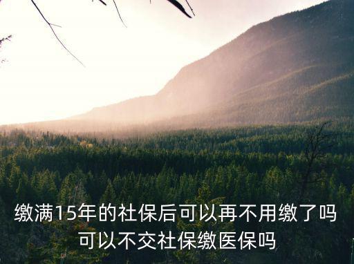 繳滿15年的社保后可以再不用繳了嗎可以不交社保繳醫保嗎