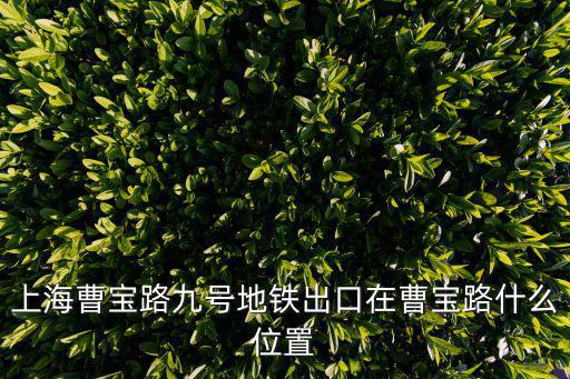 上海曹寶路九號地鐵出口在曹寶路什么位置