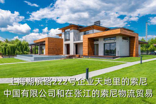 上海湖濱路222號企業天地里的索尼中國有限公司和在張江的索尼物流貿易