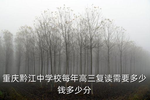 重慶市黔江黔中，黔江離重慶的市中心有多遠