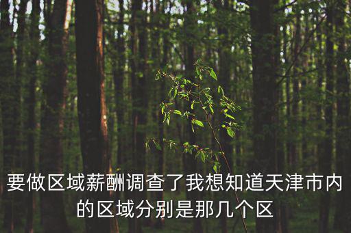 要做區(qū)域薪酬調(diào)查了我想知道天津市內(nèi)的區(qū)域分別是那幾個區(qū)