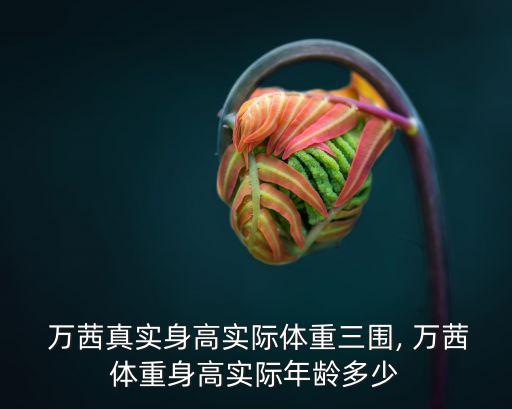  萬茜真實身高實際體重三圍, 萬茜體重身高實際年齡多少