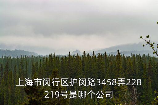 上海市閔行區護閔路3458弄228219號是哪個公司
