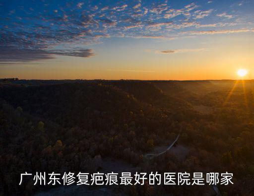 廣州東修復(fù)疤痕最好的醫(yī)院是哪家