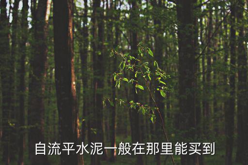 自流平水泥一般在那里能買到