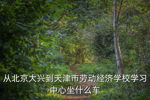 從北京大興到天津市勞動經濟學校學習中心坐什么車
