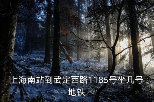 上海市武定路1058號地鐵，上海南站到武定路1185號坐幾號地鐵線