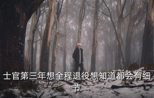 士官第三年想全程退役想知道都會有細節