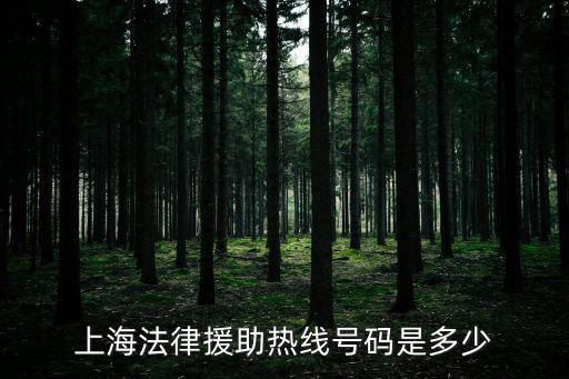 上海法律援助熱線號碼是多少