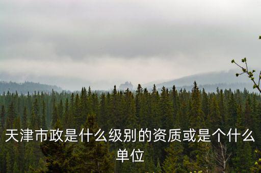 天津市政是什么級別的資質或是個什么單位