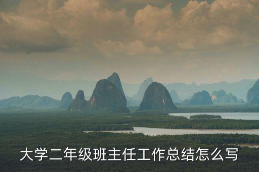 大學二年級班主任工作總結怎么寫
