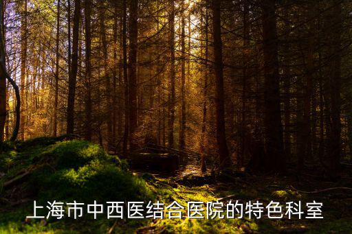 上海市中西醫結合醫院的特色科室