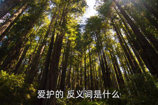 愛惜的反義詞,its反義詞含義:利用不足或浪費