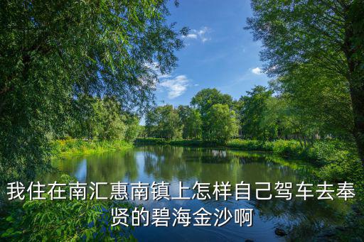 我住在南匯惠南鎮上怎樣自己駕車去奉賢的碧海金沙啊