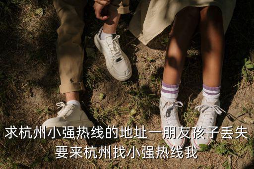 求杭州小強熱線的地址一朋友孩子丟失要來杭州找小強熱線我