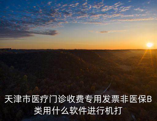 天津市醫(yī)療門(mén)診收費(fèi)專(zhuān)用發(fā)票非醫(yī)保B類(lèi)用什么軟件進(jìn)行機(jī)打