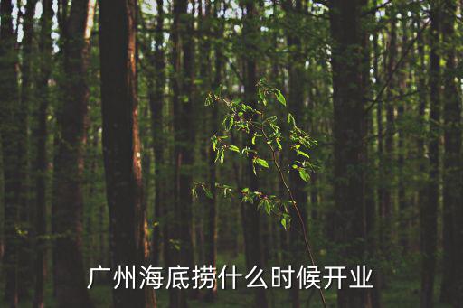 廣州海底撈什么時候開業(yè)