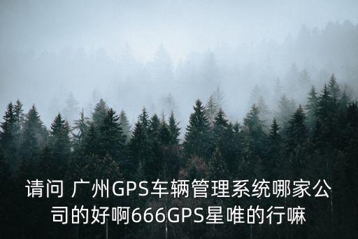 請問 廣州GPS車輛管理系統哪家公司的好啊666GPS星唯的行嘛