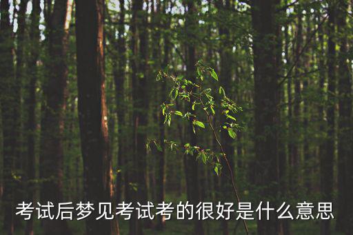 夢到考試成績很好，考試后夢見考試考的很好是什么意思