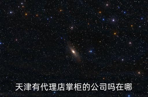 天津有代理店掌柜的公司嗎在哪