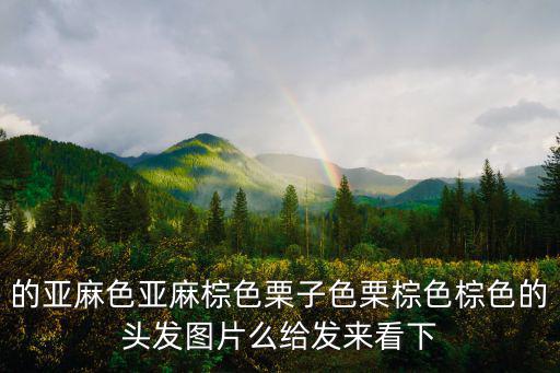 的亞麻色亞麻棕色栗子色栗棕色棕色的頭發圖片么給發來看下