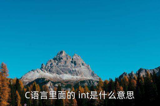 int是什么意思,intaint-計(jì)算機(jī)語(yǔ)言: