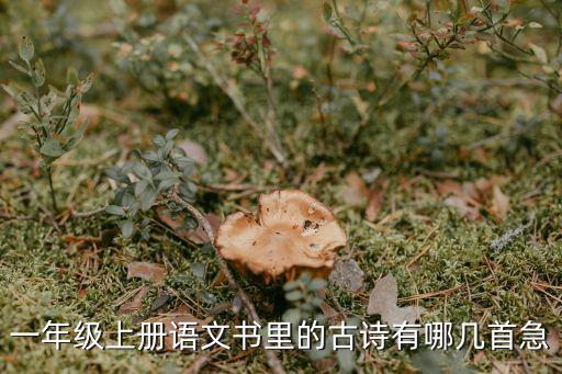 一年級上冊語文書里的古詩有哪幾首急