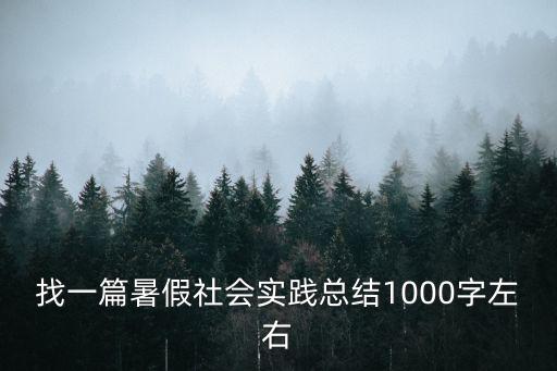 找一篇暑假社會實(shí)踐總結(jié)1000字左右