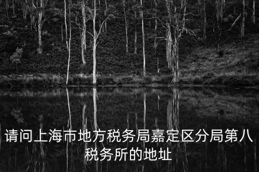 請問上海市地方稅務局嘉定區分局第八稅務所的地址