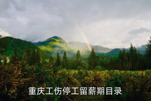 重慶工傷停工留薪期目錄