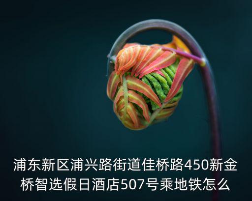 浦東新區(qū)浦興路街道佳橋路450新金橋智選假日酒店507號乘地鐵怎么