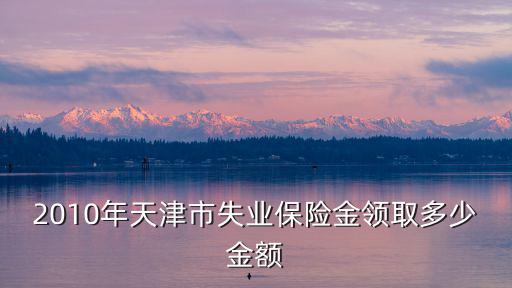 2010年天津市失業(yè)保險(xiǎn)金領(lǐng)取多少金額