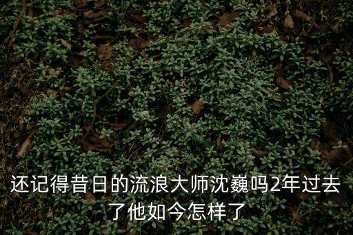 還記得昔日的流浪大師沈巍嗎2年過去了他如今怎樣了