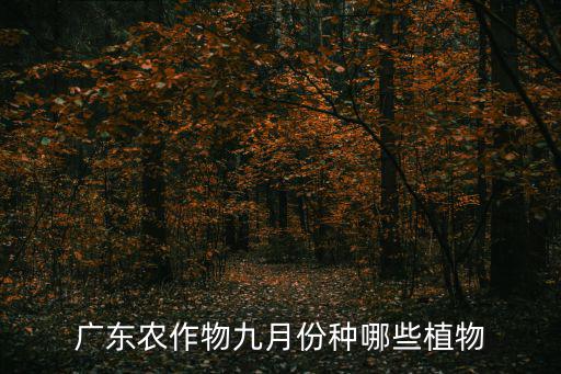 廣東農作物九月份種哪些植物