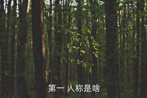  第一 人稱是啥