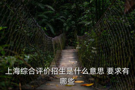 上海綜合評價招生是什么意思 要求有哪些